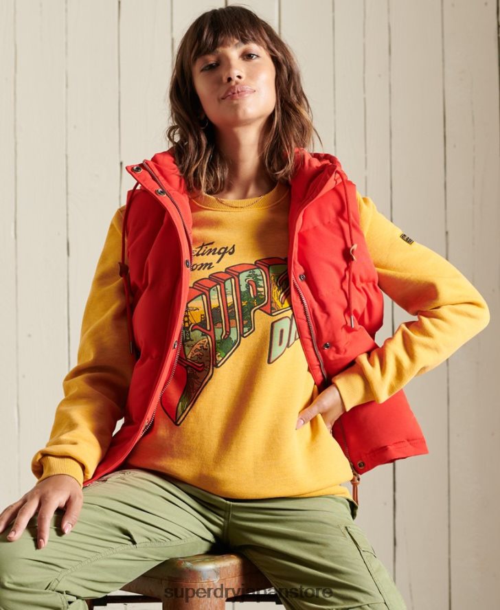 ヘリテージ マウンテン クルー スウェットシャツ 女性 Superdry 衣類 金 2J62PZ3463
