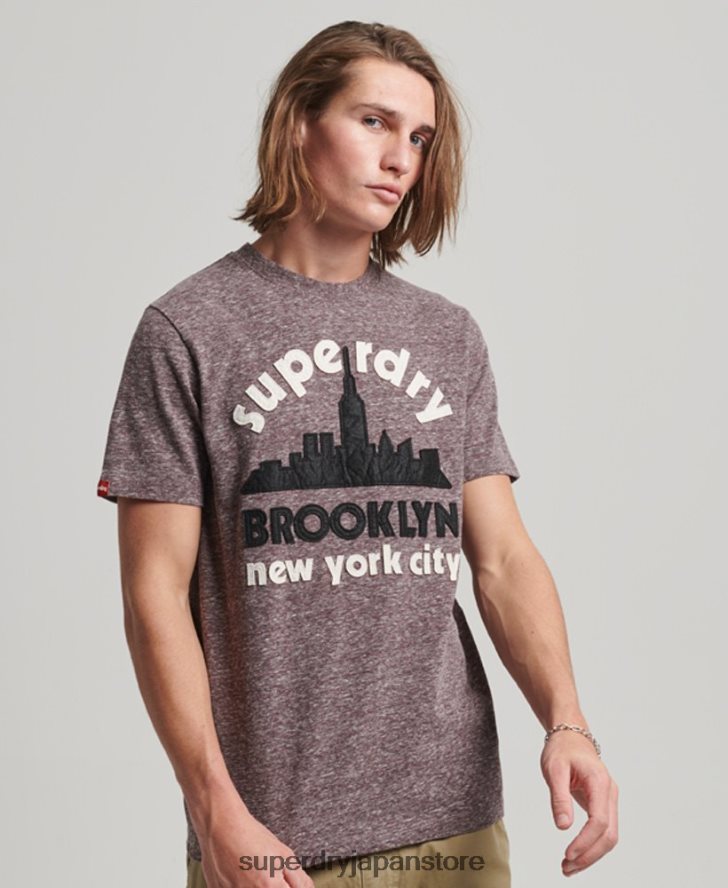 素晴らしいアウトドア アップリケ T シャツ 男性 Superdry 衣類 茶色 2J62PZ116