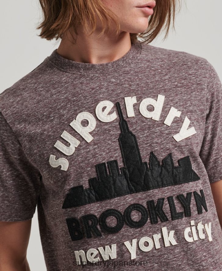 素晴らしいアウトドア アップリケ T シャツ 男性 Superdry 衣類 茶色 2J62PZ116