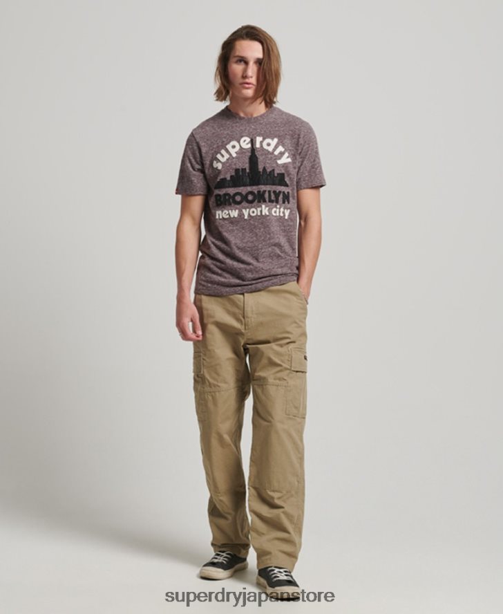 素晴らしいアウトドア アップリケ T シャツ 男性 Superdry 衣類 茶色 2J62PZ116