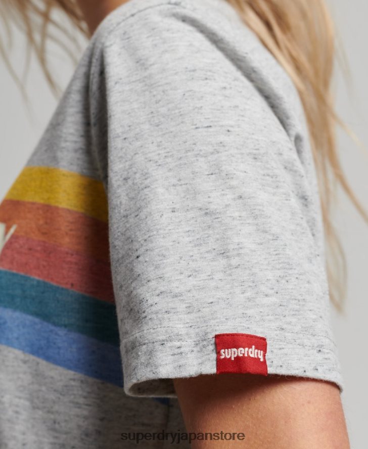 ヴィンテージ グレート アウトドア T シャツ 女性 Superdry 衣類 グレー 2J62PZ2663